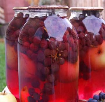 Een eenvoudig recept voor appel- en druivencompote voor de winter