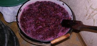 Jednoduchý krok za krokom recept na výrobu čerstvého modrého hroznového vína doma