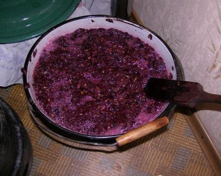 Jednoduchý krok za krokom recept na výrobu čerstvého modrého hroznového vína doma