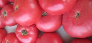 Egenskaper och beskrivning av tomatsorten Hallonjätten, dess utbyte