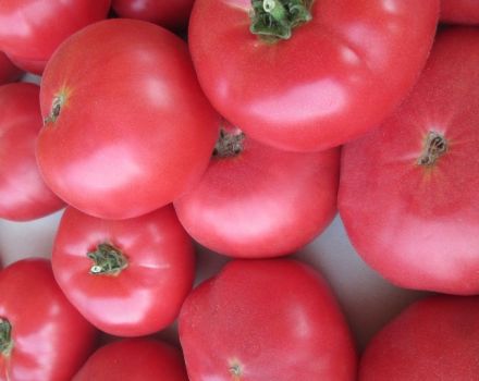 Tomaattilajikkeen Raspberry giant ominaisuudet ja kuvaus, sen sato
