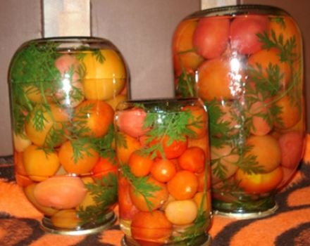 Recepty na varenie paradajok s mrkvovou doskou na zimu