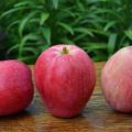Belangrijkste kenmerken en beschrijving van de zomer gestreepte appelvariëteit, ondersoorten en hun verspreiding in de regio's