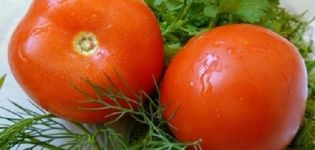 Opis sorte rajčice Maksimka, uzgoj i njega