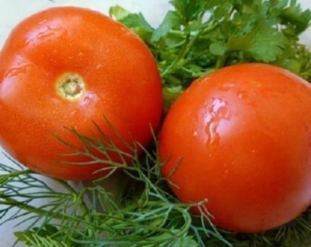 Beskrivelse af tomatsorten Maksimka, dyrkning og pleje