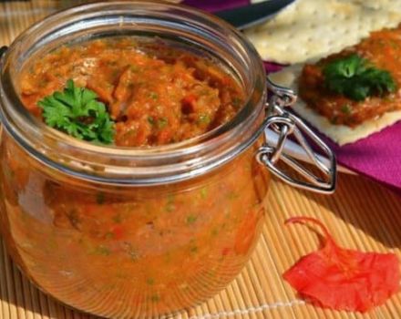 TOP 15 recipes for eggplant caviar you will lick your fingers at home step by step
