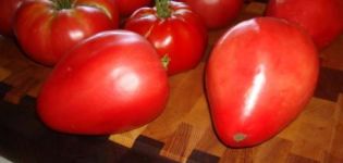 Egenskaber og beskrivelse af Mazarin-tomatsorten, dens udbytte