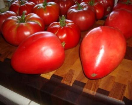 Mazarin-tomaattilajikkeen ominaisuudet ja kuvaus, sen sato