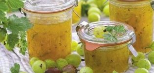 Tuktok 6 masarap na mga recipe para sa gooseberry jam na may mansanas para sa taglamig