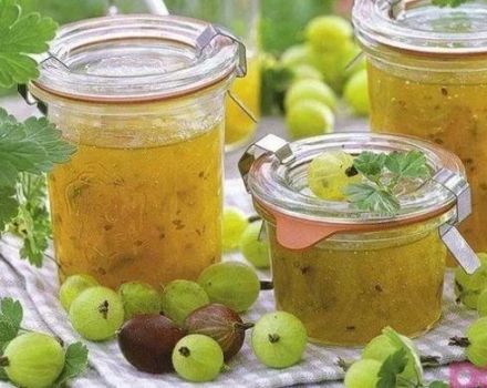 TOP 6 delicious recipes for gooseberry jam with apples for the winter