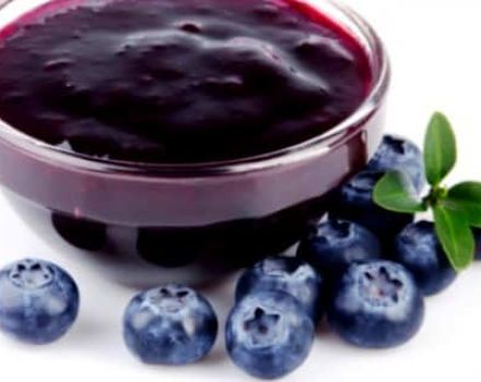 Simple recipes for making blueberry jam for the winter