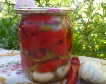 TOP 10 easy recipes for making pickled hot peppers for the winter
