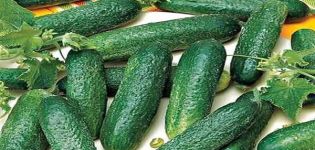 Beschrijving van de komkommervariëteit Alex, zijn kenmerken en teelt