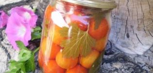 15 jednostavnih detaljnih recepata za ukiseljenje rajčice za zimu u staklenkama