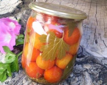 15 enkla steg-för-steg recept för betning av tomater för vintern i burkar