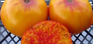Opis a pestovanie paradajkových odrôd Virginia Candy