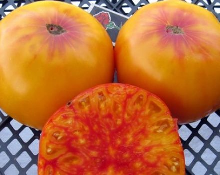 Descrierea și cultivarea soiului de tomate Varietate Virginia Candy