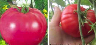 Varianter af tomatsorter Mesterværk, dets beskrivelse og udbytte