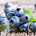 Ano ang maaaring gawin mula sa mga blueberry para sa taglamig, kung paano i-freeze at mag-imbak, mga recipe