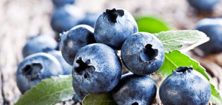 What can be made from blueberries for the winter, how to freeze and store, recipes