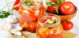 Recettes étape par étape pour cuire des légumes dans du jus de tomate pour l'hiver