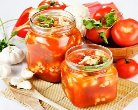 Recetas paso a paso para cocinar verduras en jugo de tomate para el invierno.