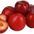 Description and characteristics of the plum variety Red Ball, planting and care