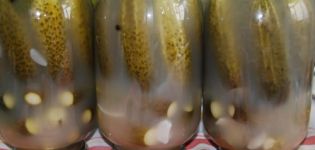 Cómo entender por qué los pepinos en frascos se vuelven turbios y qué hacer para evitar que se forme un precipitado blanco