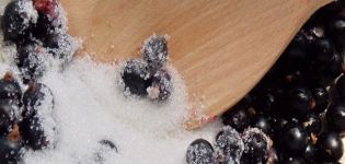 Trin for trin opskrift på rips syltetøj i en gryde om vinteren
