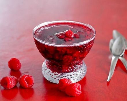 Pangunahing 2 pinakamahusay na mga recipe para sa paggawa ng raspberry jam na may gulaman para sa taglamig