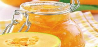 Ein einfaches Schritt-für-Schritt-Rezept für die Herstellung von Melonenmarmelade für den Winter