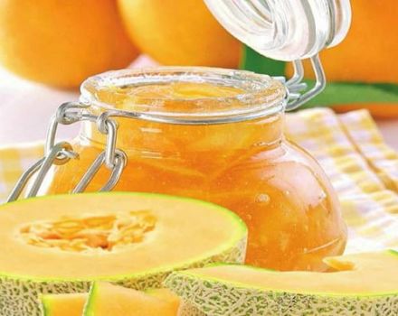 Ett enkelt steg-för-steg recept för att göra melon sylt till vintern