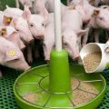 What is the compound feed for piglets and pigs made of, types and the best producers