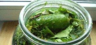 5 simpele recepten voor het maken van licht gezouten komkommers met mosterd voor de winter
