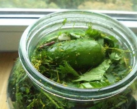 5 enkle opskrifter til fremstilling af let saltede agurker med sennep til vinteren