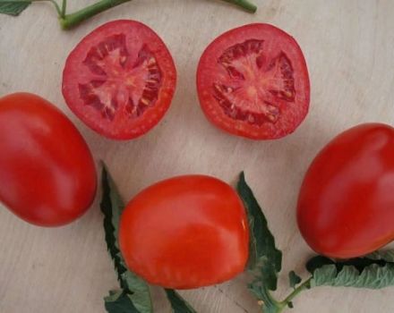Opis sorte rajčice Indio i njegove karakteristike