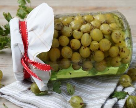 5 best recipes for harvesting pickled gooseberries for the winter