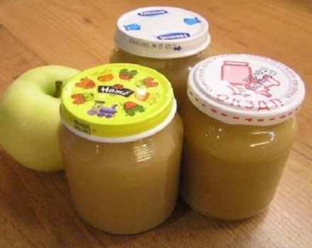 TOP 21 recipes for making applesauce for the winter at home