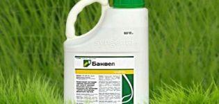 Bruksanvisning och principen om användning av Banvel-herbicid, konsumtionshastighet