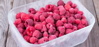 How to properly freeze raspberries for the winter in the refrigerator at home