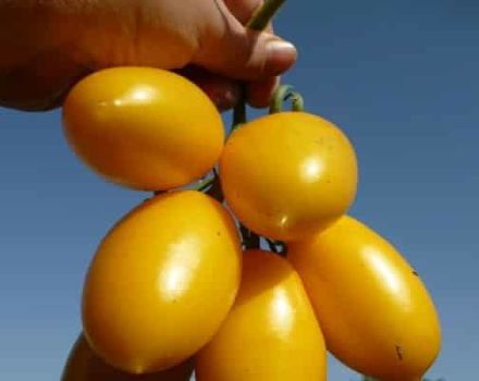 Beschreibung der Sorte der Tomaten Golden Brush, Merkmale des Anbaus und der Pflege