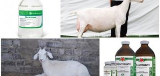 Instructions for use and dosage of Oxytocin, when to give a goat and analogues
