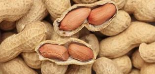 How and at what temperature to store peanuts at home