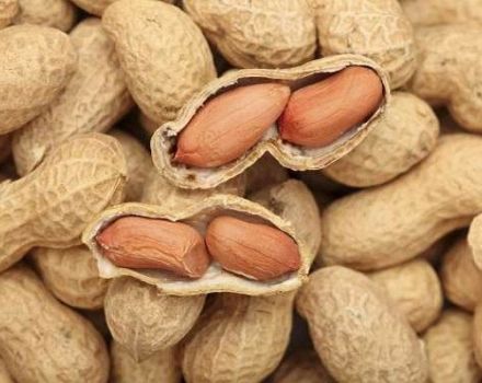 How and at what temperature to store peanuts at home