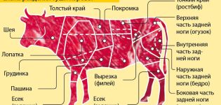 A tehén testrészeinek neve és a hasított test vágási sémája, a hús tárolása