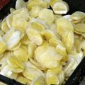 Πώς να παγώσετε τις πατάτες στον καταψύκτη στο σπίτι και είναι δυνατόν