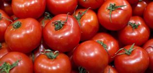 Características y descripción de la variedad de tomate Torbay, su rendimiento.