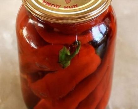 TOP 10 recepata za pravljenje začina od ljute paprike za zimu