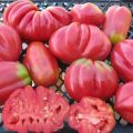 Eigenschaften und Beschreibung der Tomatensorte Pink Feige, deren Ertrag