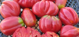 Χαρακτηριστικά και περιγραφή της ποικιλίας ντομάτας Ροζ σύκο, η απόδοσή της